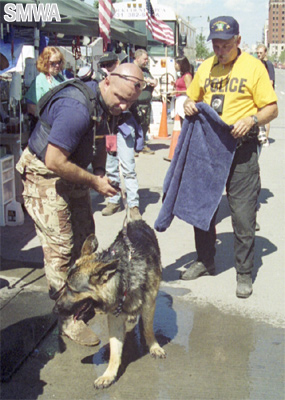 search and rescue dog